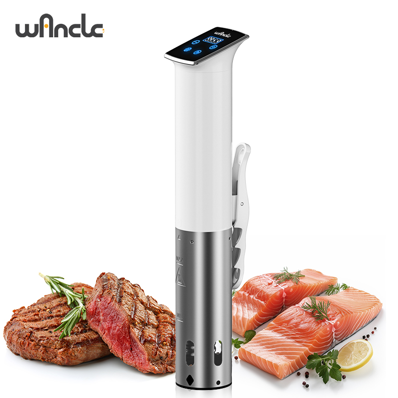 Wancle 1100W Waterdichte Vacuü - Deep Fryer Stainless recensie en prijs